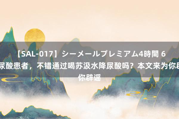 【SAL-017】シーメールプレミアム4時間 6 高尿酸患者，不错通过喝苏汲水降尿酸吗？本文来为你辟谣