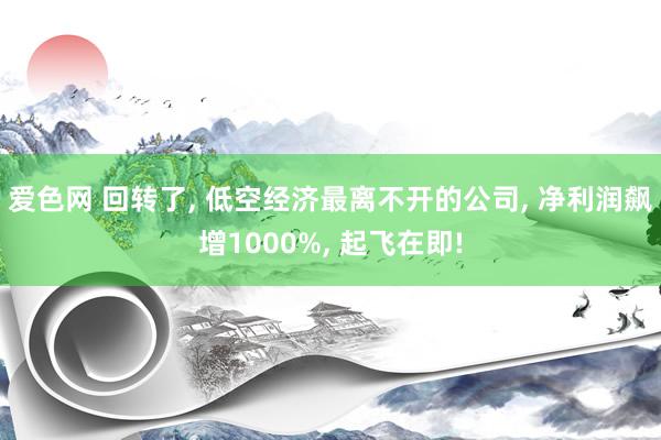 爱色网 回转了, 低空经济最离不开的公司, 净利润飙增1000%, 起飞在即!