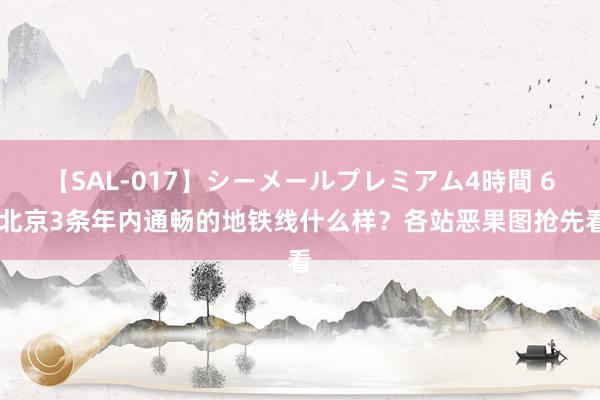 【SAL-017】シーメールプレミアム4時間 6 北京3条年内通畅的地铁线什么样？各站恶果图抢先看