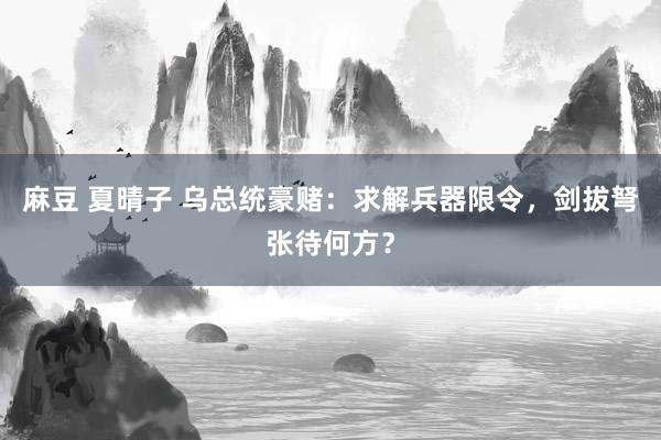 麻豆 夏晴子 乌总统豪赌：求解兵器限令，剑拔弩张待何方？