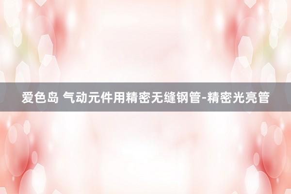 爱色岛 气动元件用精密无缝钢管-精密光亮管