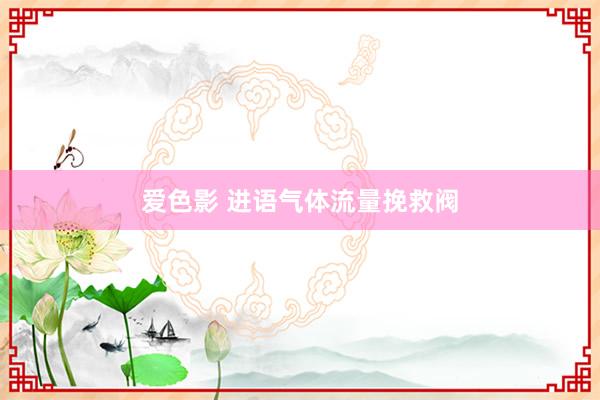 爱色影 进语气体流量挽救阀