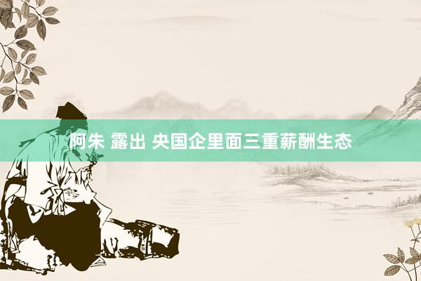 阿朱 露出 央国企里面三重薪酬生态