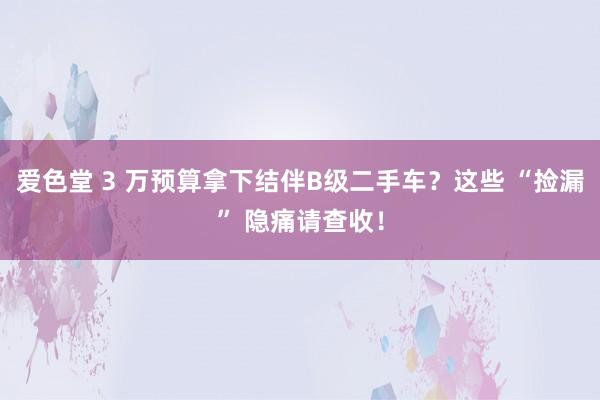 爱色堂 3 万预算拿下结伴B级二手车？这些 “捡漏” 隐痛请查收！