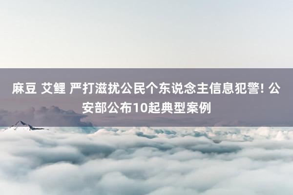 麻豆 艾鲤 严打滋扰公民个东说念主信息犯警! 公安部公布10起典型案例