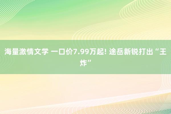 海量激情文学 一口价7.99万起! 途岳新锐打出“王炸”