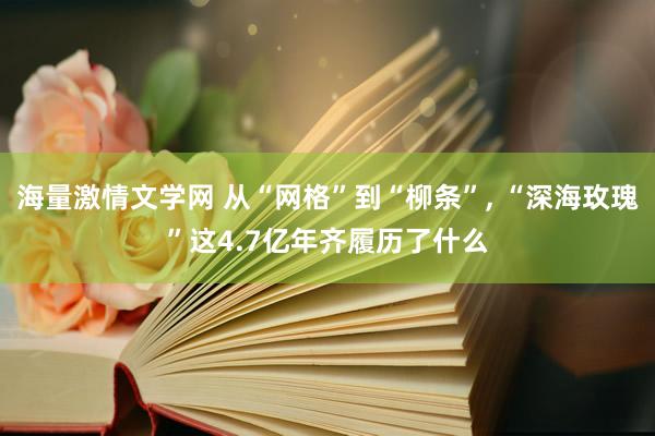 海量激情文学网 从“网格”到“柳条”, “深海玫瑰”这4.7亿年齐履历了什么