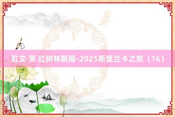 肛交 哭 红树林飘摇-2025斯里兰卡之旅（16）